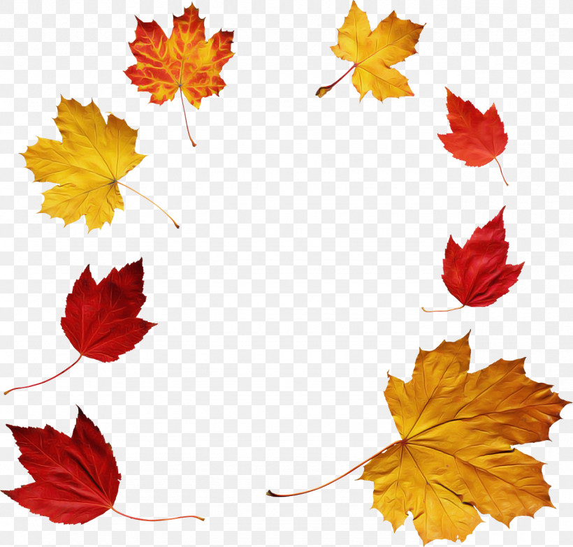 Maple Leaf, PNG, 1280x1223px, Maple Leaf, Autumn Leaf Color, Color, Leaf, Plants Download Free