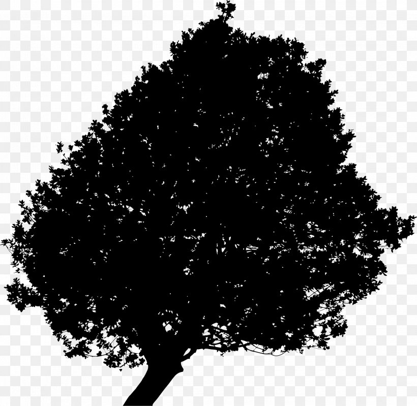 Tree Clip Art, PNG, 2190x2134px, Tree, Black, Black And White, Branch, Conifer Download Free