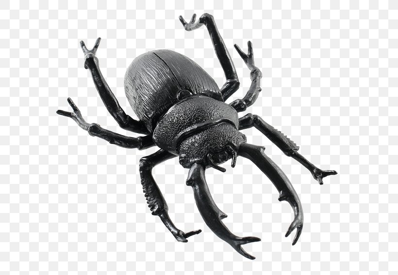 Weevil Beetle Scarabs Seasons USA Inc, PNG, 650x568px, Weevil, Animal, Arthropod, Beetle, Black And White Download Free