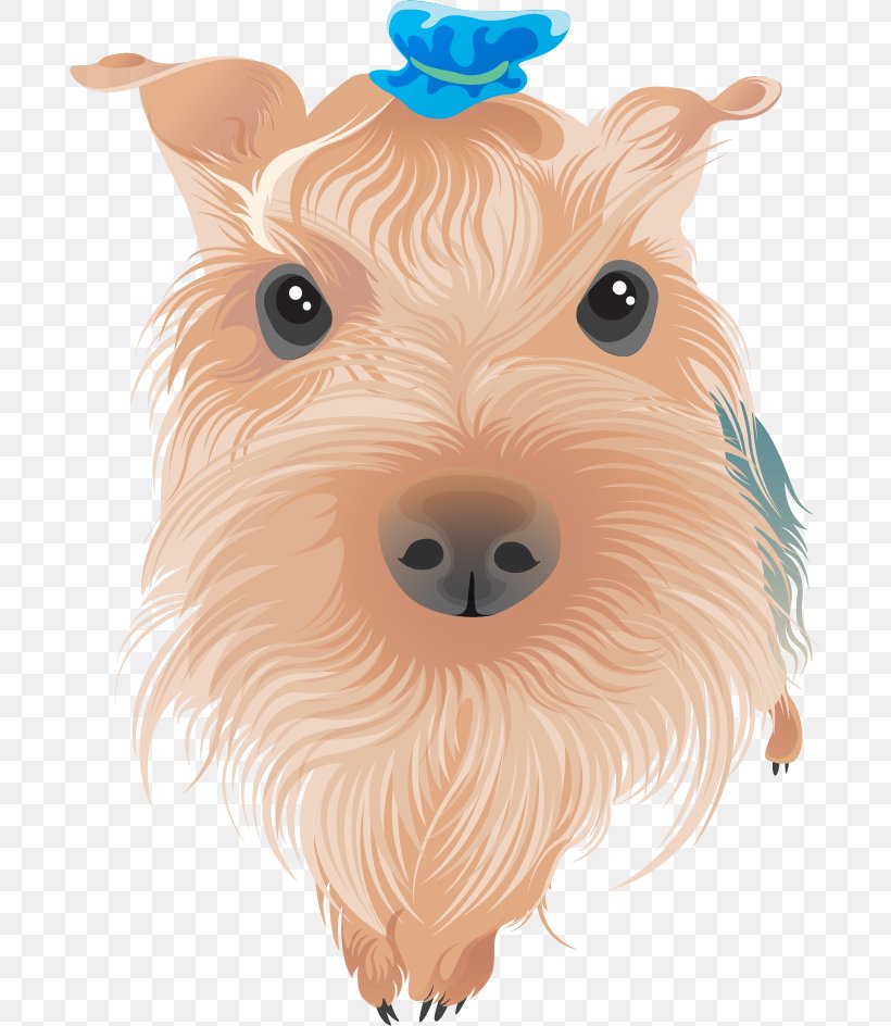 Yorkshire Terrier Airedale Terrier Bull Terrier Boston Terrier, PNG, 691x944px, Yorkshire Terrier, Airedale Terrier, Boston Terrier, Breed, Bull Terrier Download Free