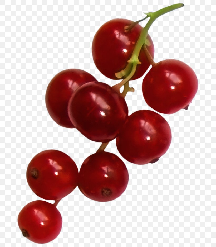 Gooseberry Zante Currant Lingonberry Cranberry, PNG, 710x936px, Gooseberry, Acerola Family, Berry, Blackcurrant, Cherry Download Free
