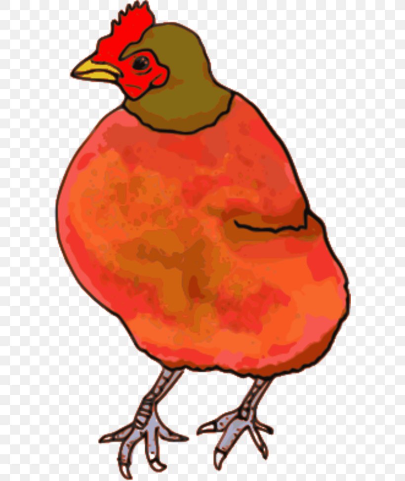 Chicken The Little Red Hen Coloring Book Clip Art, PNG, 600x974px, Chicken, Artwork, Beak, Bird, Chicken Coop Download Free