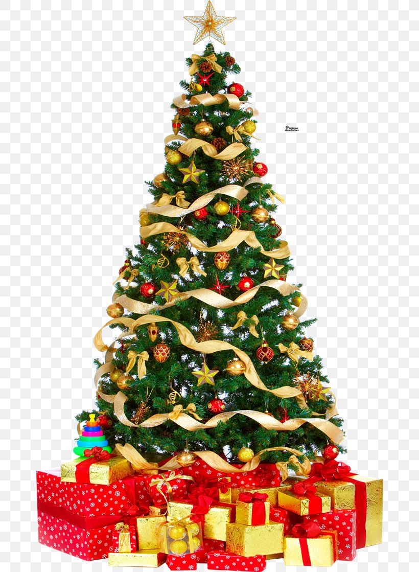 Christmas Tree Christmas Lights, PNG, 680x1119px, Christmas Tree, Artificial Christmas Tree, Christmas, Christmas Decoration, Christmas Lights Download Free