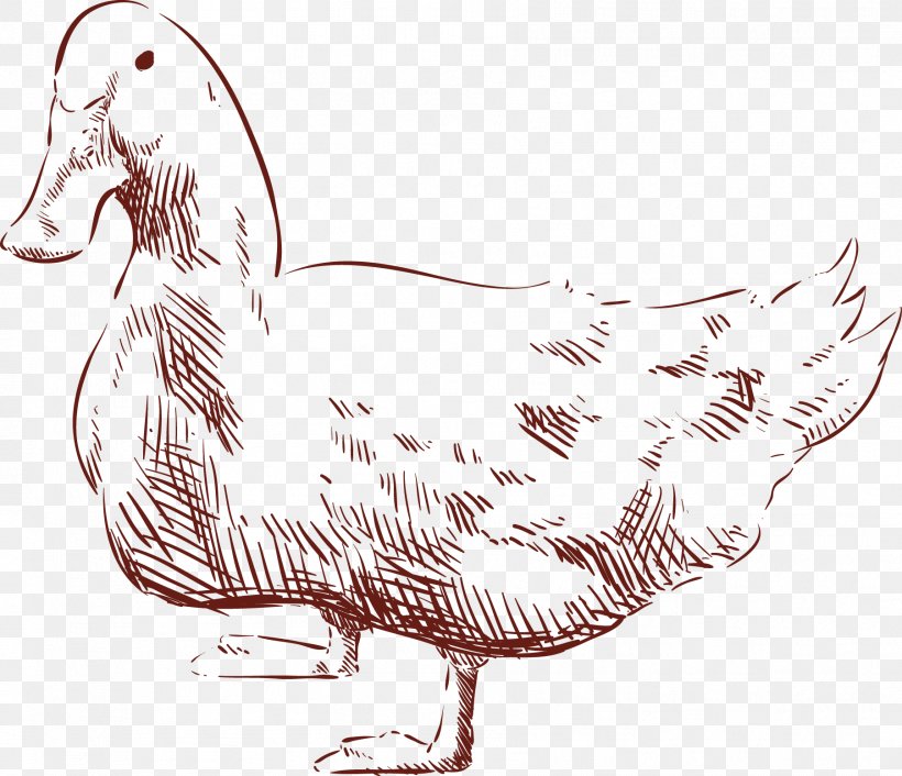 Duck Chicken Drawing Animal, PNG, 1803x1554px, Duck, Animal, Art, Beak, Bird Download Free