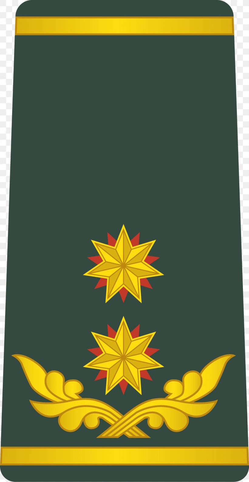 Georgian Armed Forces Military Rank General, PNG, 1106x2142px, Georgia, Army, Brigadier, Brigadier General, Flower Download Free