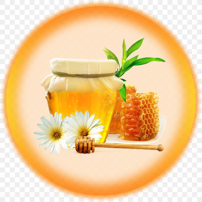 Honey Bee Honey Bee Food, PNG, 1024x1024px, Honey, Bee, Fennel, Food, Fruit Download Free