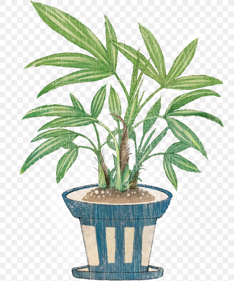 Arecaceae Houseplant Flowerpot Shrub, PNG, 1000x1200px, Arecaceae, Arecales, Flowerpot, Houseplant, Leaf Download Free