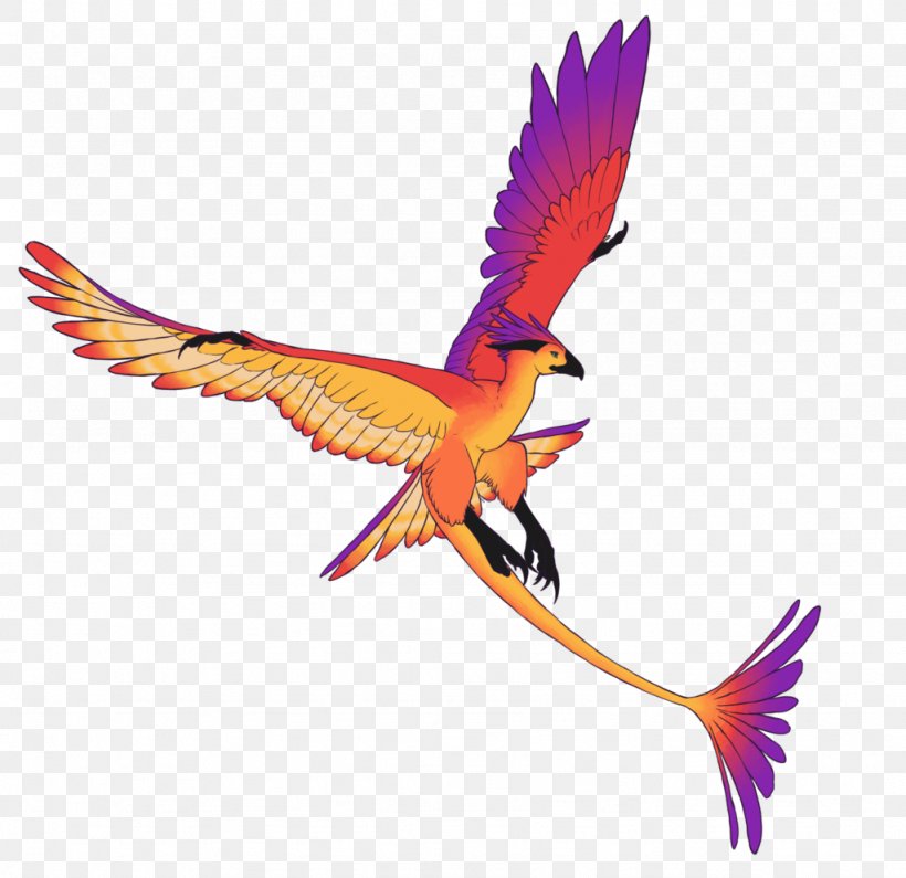 Macaw Beak Feather Wing, PNG, 1024x993px, Macaw, Animal, Beak, Bird, Fauna Download Free