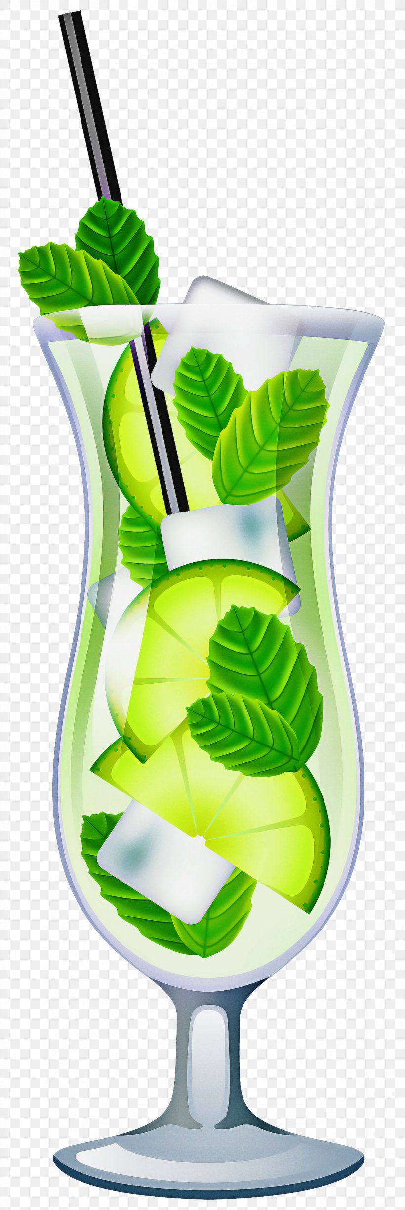 Green Leaf Clip Art Plant Water Bottle, PNG, 1173x3500px, Green, Flower, Leaf, Plant, Water Bottle Download Free
