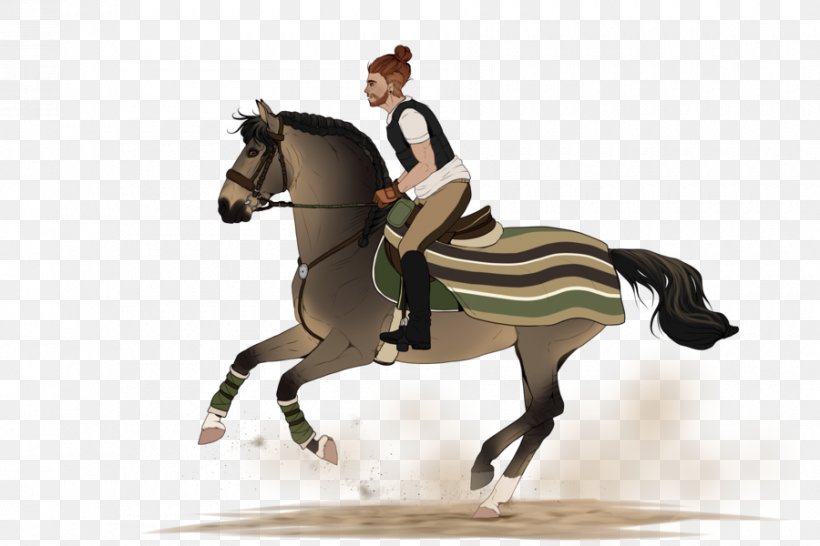 Hunt Seat Horse Stallion Drawing Equestrian, PNG, 900x600px, Hunt Seat, Animal Sports, Animal Training, Art, Bridle Download Free