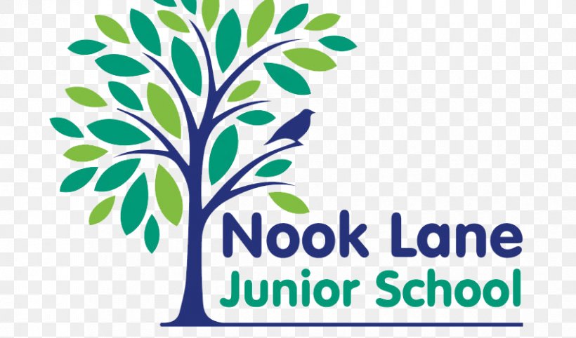 Logo Barnes & Noble Nook Nook Lane Junior School, PNG, 850x500px, Logo, Android, Area, Barnes Noble Nook, Branch Download Free