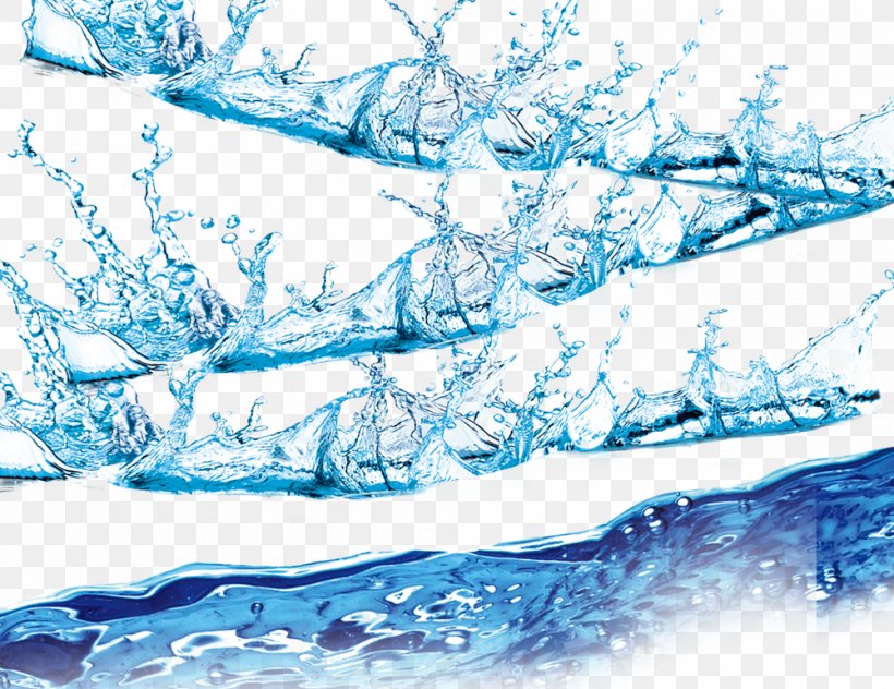 A Variety Of Water Splashing, PNG, 1000x771px, Water, Aqua, Blue, Branch, Free Water Clearance Download Free