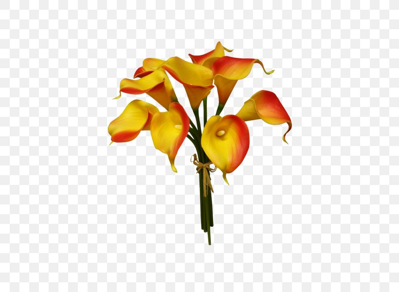 Arum-lily Cut Flowers Floral Design Plant, PNG, 800x600px, Arumlily, Artificial Flower, Branch, Calla Lily, Cut Flowers Download Free