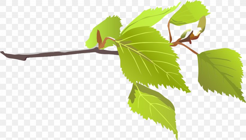 Branch Leaf Tree Clip Art, PNG, 2280x1302px, Branch, Color, Green, Leaf, Pixabay Download Free