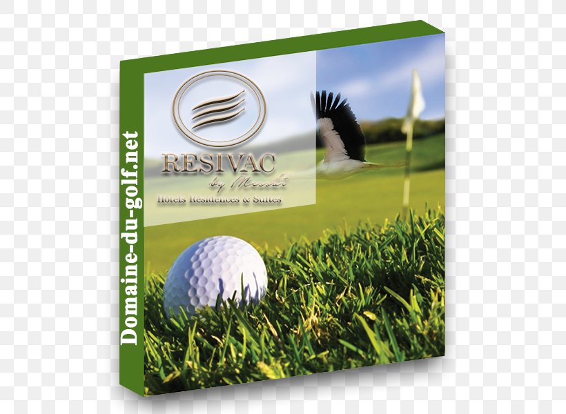 Golf Balls Golfing In America: Golfing Observations & Train Travel Amid Short Stories Restaurant Les Salons Du Golf Green Fee, PNG, 600x600px, Golf Balls, Arras, Ball, Golf, Golf Ball Download Free