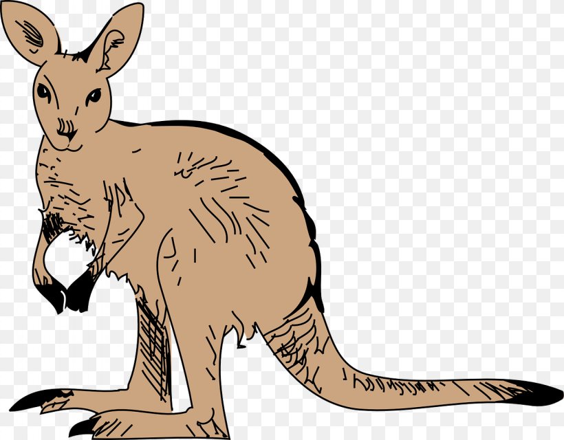 Kangaroo Download Clip Art, PNG, 1280x1000px, Kangaroo, Fauna, Free Content, Macropodidae, Mammal Download Free