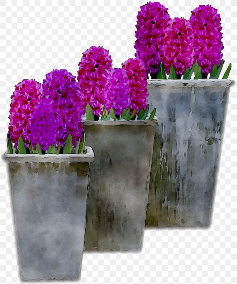 Lavender Flowerpot Houseplant Purple Shrub, PNG, 998x1199px, Lavender, Amaranth Family, Annual Plant, Cut Flowers, Flower Download Free