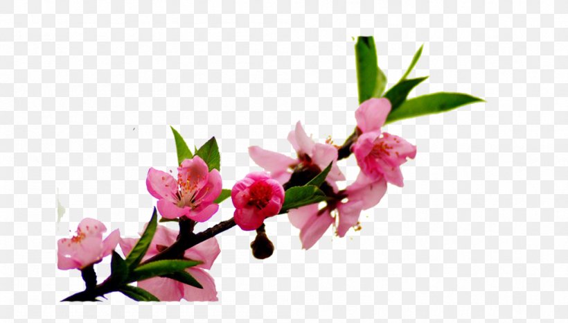 Peach Floral Design Flower Blossom, PNG, 999x568px, Peach, Artificial Flower, Blossom, Branch, Cherry Blossom Download Free