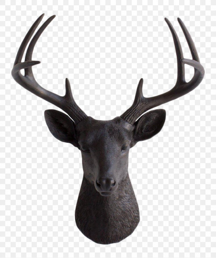 White-tailed Deer Antler Moose Taxidermy, PNG, 924x1106px, Deer, Antler, Blacktailed Deer, Bust, Elk Download Free