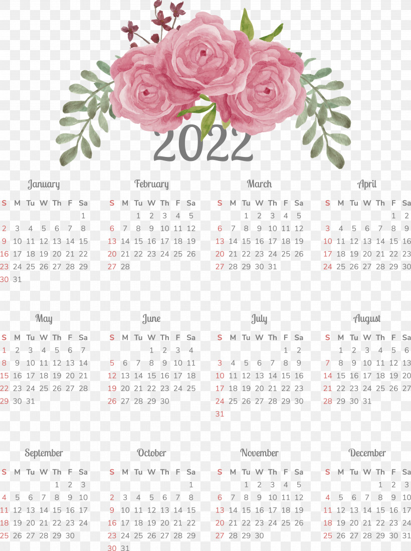 Floral Design, PNG, 3768x5051px, Floral Design, Biology, Calendar, Petal, Plant Download Free