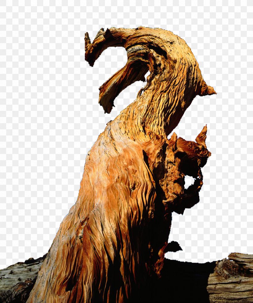 Tree Stump Trunk Wood, PNG, 853x1024px, Tree Stump, Fauna, Mythology, Organism, Rgb Color Model Download Free