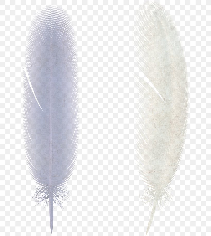 Bird Feather Wing, PNG, 650x917px, Bird, Blue, Color, Feather, Lilac Download Free