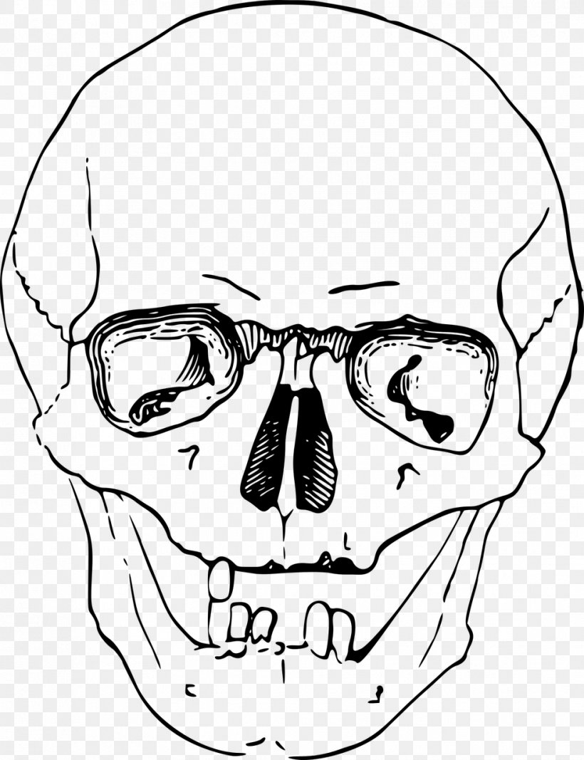 Human Skull Calavera Drawing Clip Art, PNG, 983x1280px, Watercolor, Cartoon, Flower, Frame, Heart Download Free