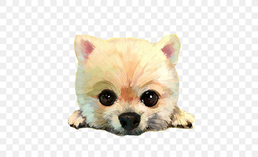 Pomeranian Cartoon Illustration, PNG, 500x500px, Pomeranian, Animation, Carnivoran, Cartoon, Companion Dog Download Free