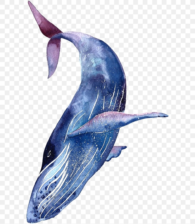 Whale Shark Tattoo Humpback Whale Blue Whale, PNG, 603x941px, Shark, Abziehtattoo, Animal, Baleen, Baleen Whale Download Free