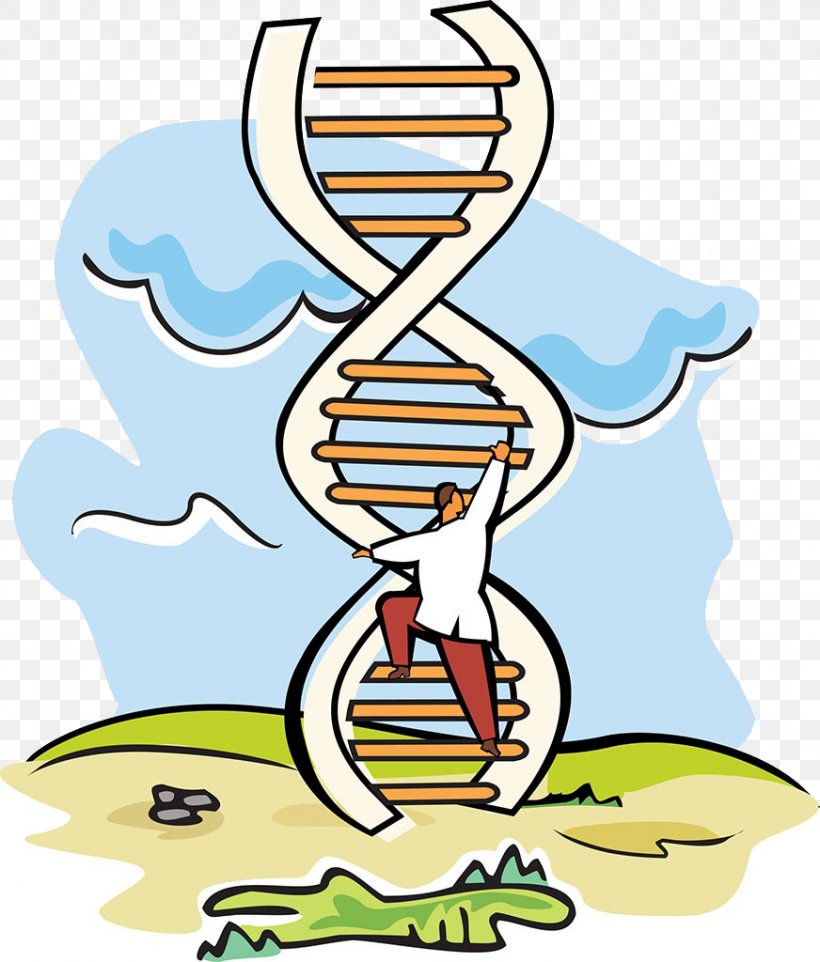 A-DNA Scientist Stock Photography Molecular-weight Size Marker, PNG, 872x1024px, Scientist, Area, Art, Artwork, Clip Art Download Free