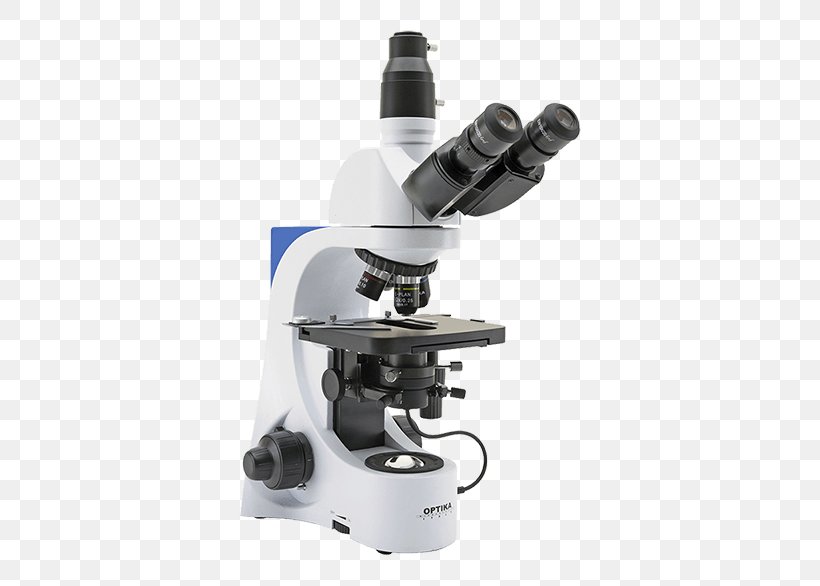Bright-field Microscopy Optical Microscope Dark-field Microscopy Light, PNG, 600x586px, Brightfield Microscopy, Condenser, Darkfield Microscopy, Digital Microscope, Eyepiece Download Free