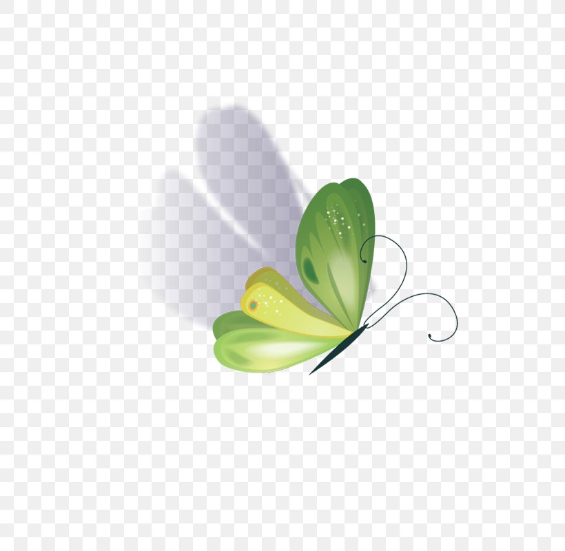 Butterfly Drawing Software, PNG, 800x800px, Butterfly, Butterflies And Moths, Cartoon, Color, Designer Download Free