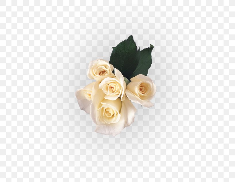 Garden Roses Cut Flowers Flower Bouquet, PNG, 592x634px, Garden Roses, Access Token, Artificial Flower, Artist, Brigitte Nielsen Download Free