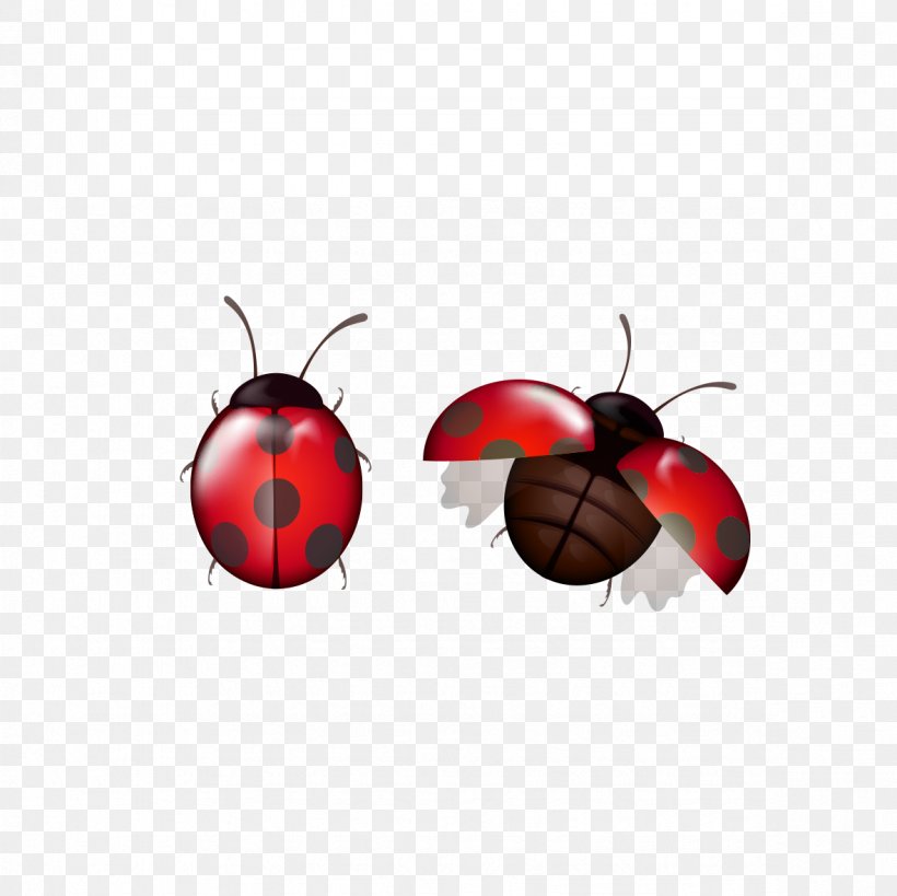 Insect Christmas Ornament Membrane Wallpaper, PNG, 1181x1181px, Insect, Christmas, Christmas Ornament, Computer, Fruit Download Free