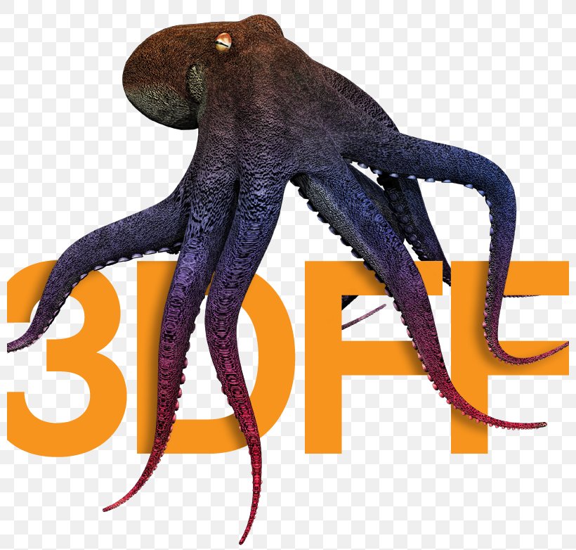 Octopus 3D Film Festival, PNG, 800x782px, 3d Film, Octopus, Cephalopod, Festival, Film Download Free