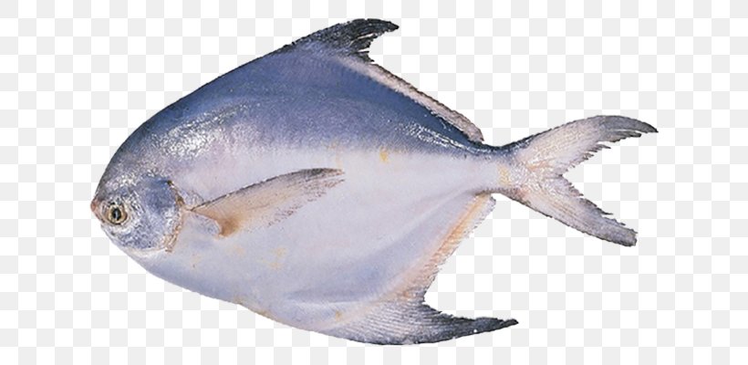 Pampus Argenteus Black Pomfret Fish Seafood, PNG, 800x400px, Pampus Argenteus, Animal Figure, Black Pomfret, Dolphin, Fauna Download Free