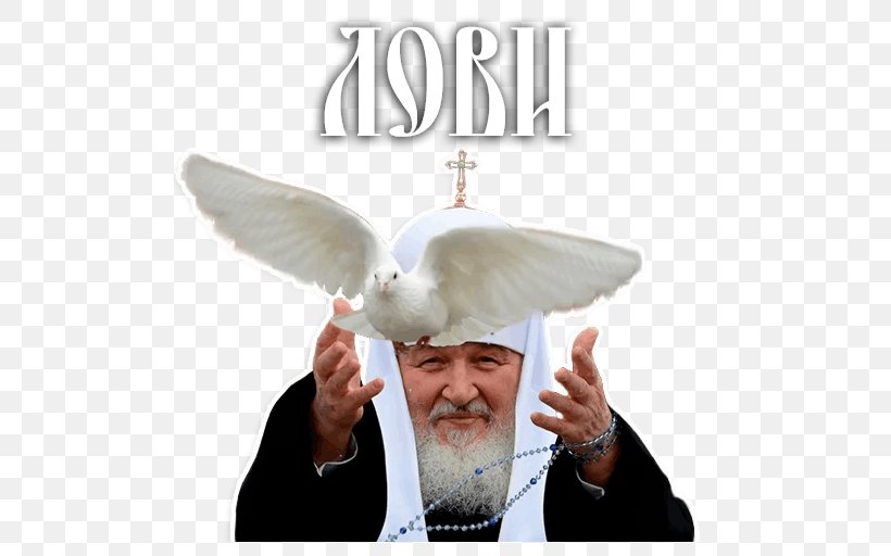 Patriarch Kirill Of Moscow Sticker Telegram VKontakte, PNG, 512x512px, Patriarch Kirill Of Moscow, Divorce, Ear, Headgear, Marriage Download Free