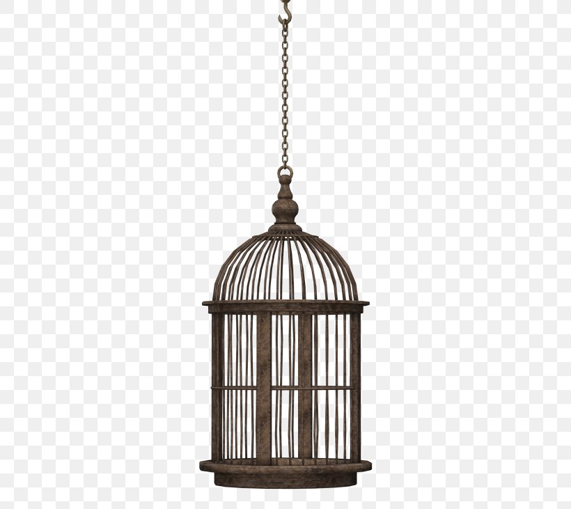 Birdcage Domestic Canary, PNG, 500x731px, Bird, Animal, Birdcage, Cage, Ceiling Fixture Download Free