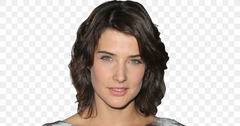 Cobie Smulders How I Met Your Mother Robin Scherbatsky Slap Bet Interview, PNG, 1200x630px, Watercolor, Cartoon, Flower, Frame, Heart Download Free