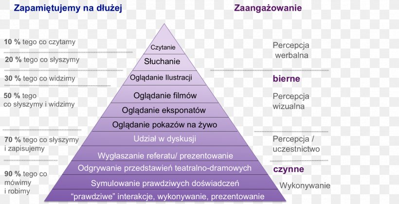 Diagram Line Brand, PNG, 1817x932px, Diagram, Brand, Purple, Text, Triangle Download Free