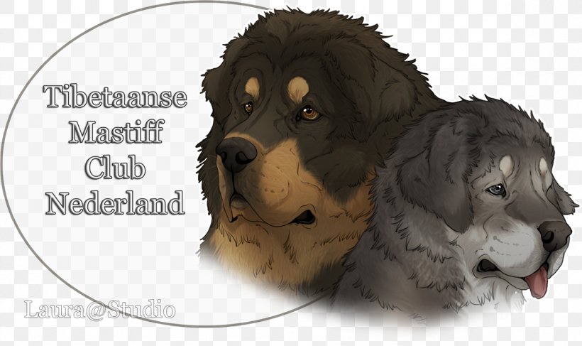 Dog Breed Tibetan Mastiff Puppy English Mastiff Rottweiler, PNG, 1178x700px, Dog Breed, Art, Artist, Breed, Carnivoran Download Free