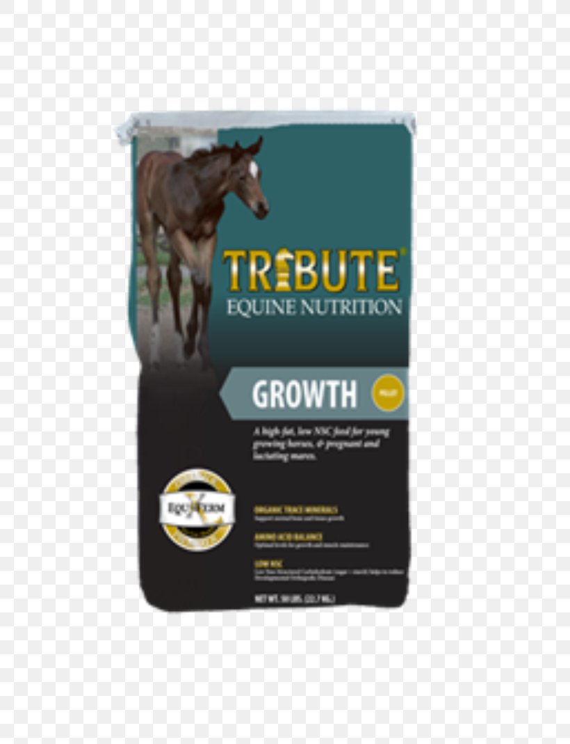Draft Horse Equine Nutrition Nutrient Veterinarian, PNG, 800x1069px, Horse, Beet Pulp, Brand, Draft Horse, Equine Nutrition Download Free