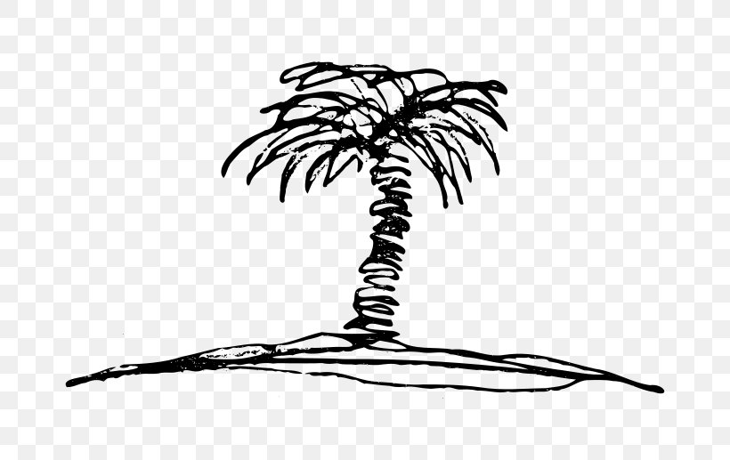 Drawing Clip Art, PNG, 800x517px, Drawing, Arecaceae, Arecales, Black And White, Branch Download Free