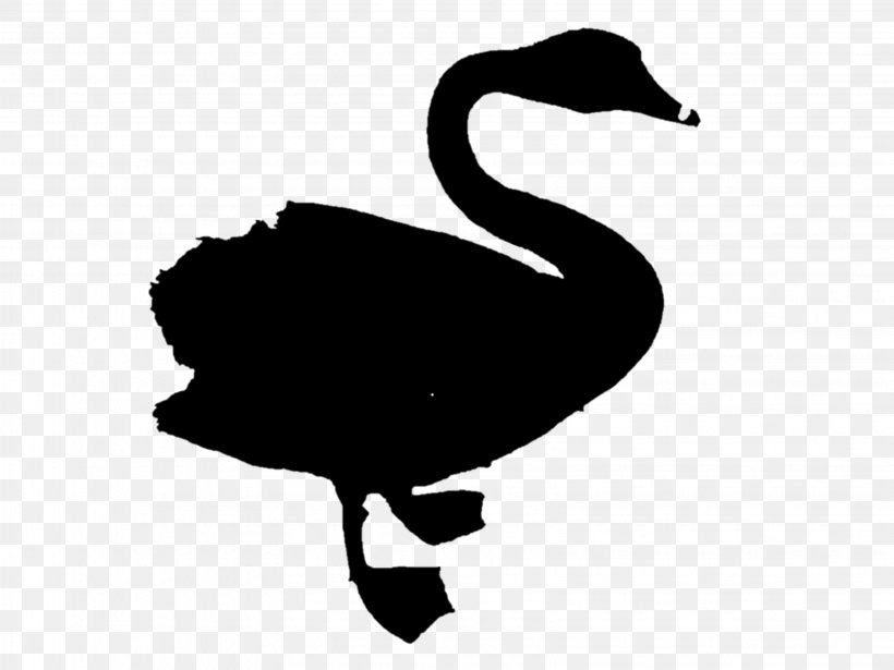 Duck Goose Clip Art Fauna Silhouette, PNG, 3264x2448px, Duck, Beak, Bird, Black Swan, Blackandwhite Download Free