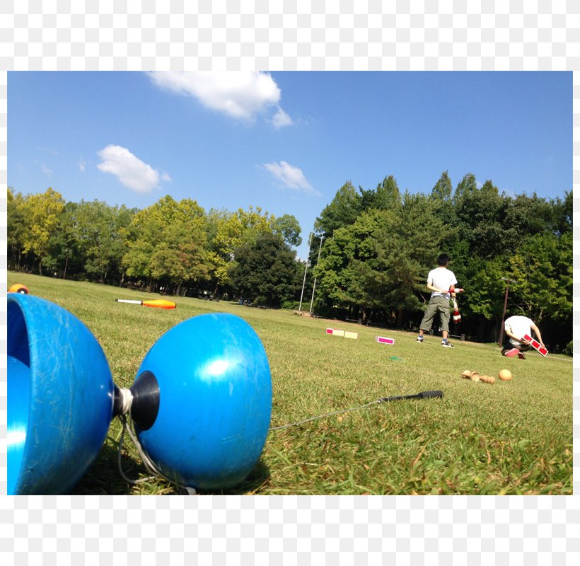 ナランハ Juggling Summer Association University Of Fukui, PNG, 800x800px, Juggling, Association, Ball, Fan Club, Fukui Prefecture Download Free