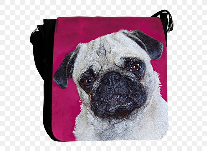 Pug Puppy Dog Breed Toy Dog Snout, PNG, 600x600px, Pug, Bag, Breed, Carnivoran, Dog Download Free