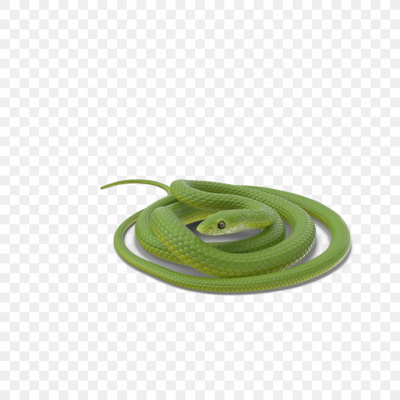 Snake Vipers, PNG, 1000x1000px, Snake, Crawling, Designer, Ectotherm, Green Download Free