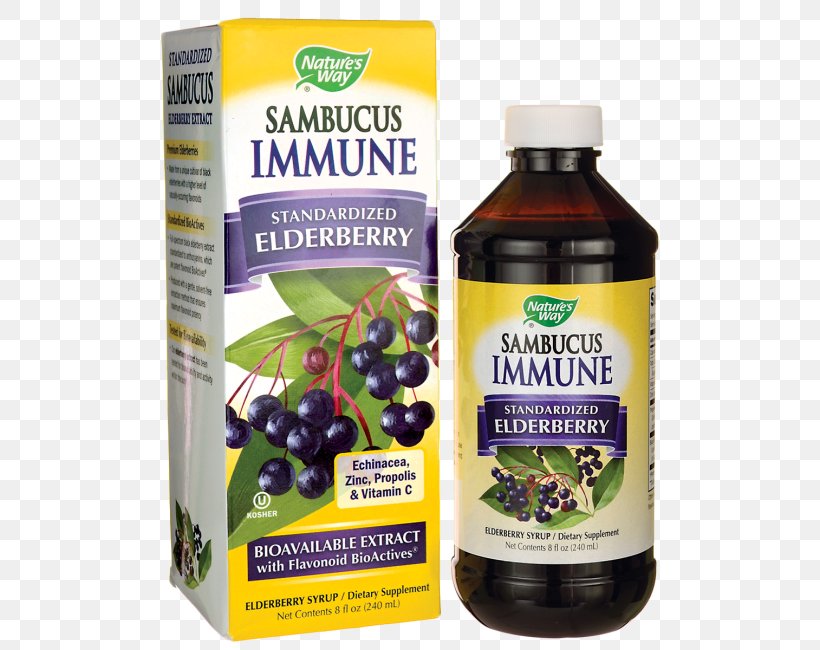 Elder Dietary Supplement Nature's Way Sambucus Immune Syrup Extract, PNG, 650x650px, Elder, Common Cold, Dietary Supplement, Elderberry, Extract Download Free