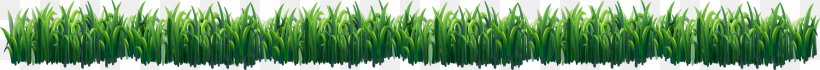 Green Grasses Hair Coloring, PNG, 1780x154px, Green, Family, Grass, Grass Family, Grasses Download Free