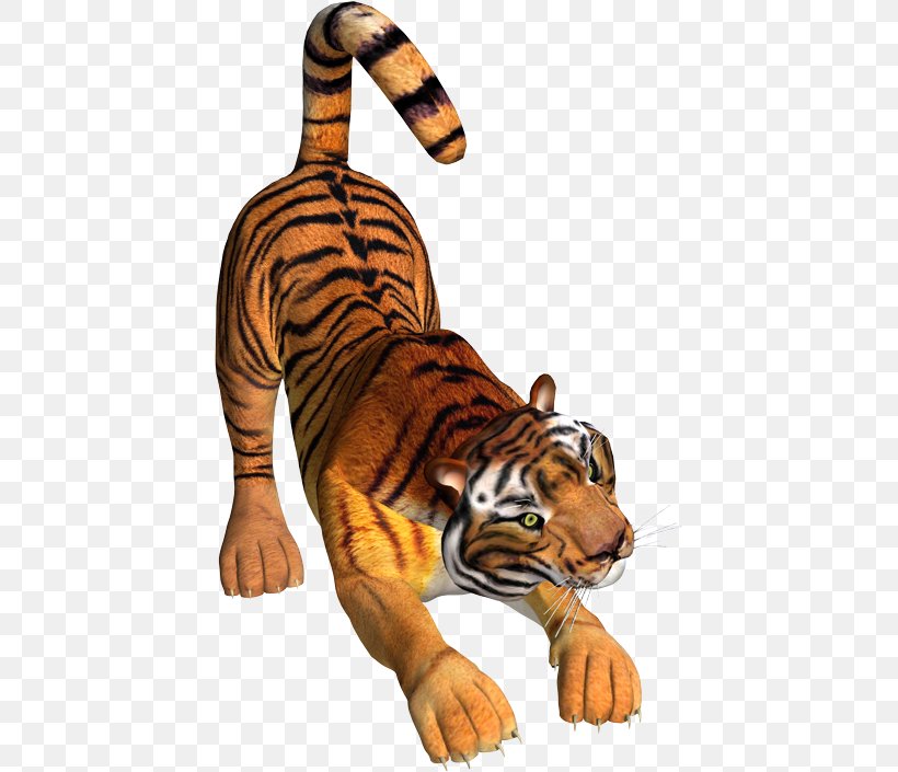 Tiger Lion Wildcat Felidae, PNG, 427x705px, Tiger, Animal, Animal Figure, Big Cat, Big Cats Download Free